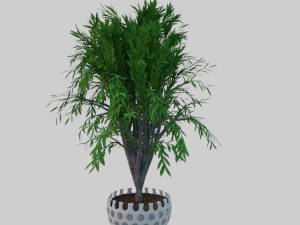 albero in vaso Modello 3D