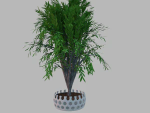 albero in vaso Modello 3D