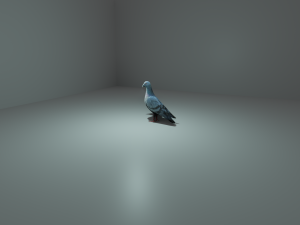 pigeon 3D Model