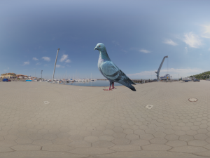 pigeon Model 3D