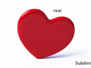 heart red and blue 3D Model