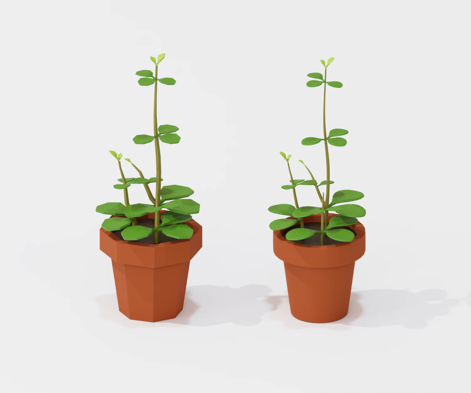 cartoon house plant 3D Model .c4d .max .obj .3ds .fbx .stl .blend 