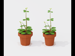 cartoon house plant 3D 模型