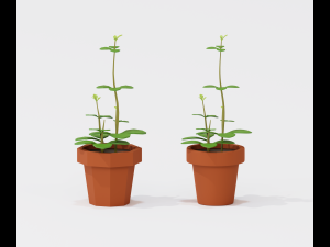 cartoon house plant 3Dモデル
