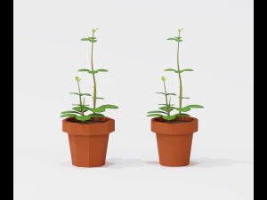 cartoon house plant 3D Model