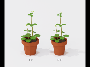 cartoon house plant 3Dモデル
