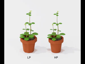 cartoon house plant 3D Model