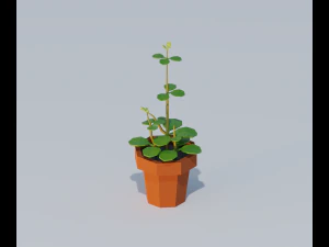 cartoon house plant 3D Model