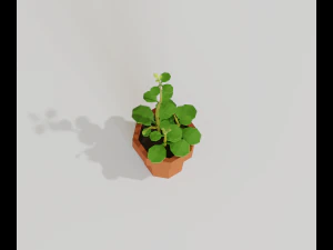 cartoon house plant 3D Model