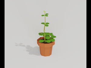 cartoon house plant 3Dモデル