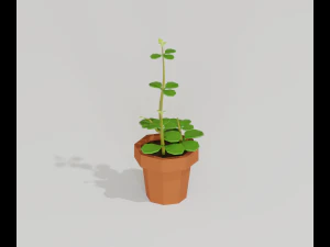 cartoon house plant 3D Model