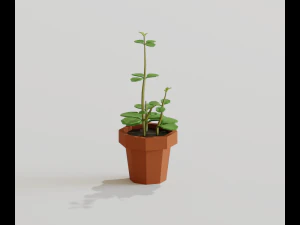 cartoon house plant 3D Model