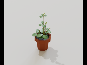 cartoon house plant 3Dモデル