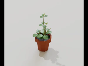 cartoon house plant 3D Model