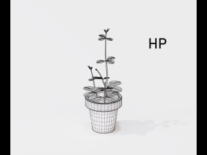 cartoon house plant 3Dモデル