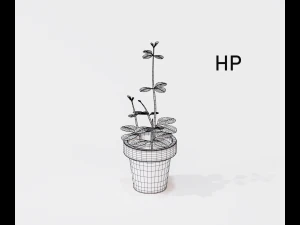 cartoon house plant 3D Model