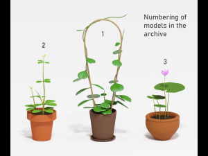 asset cartoon houseplant 3D Model