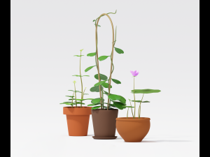 asset cartoon houseplant 3D Model