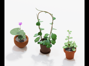 asset cartoon houseplant 3D Model