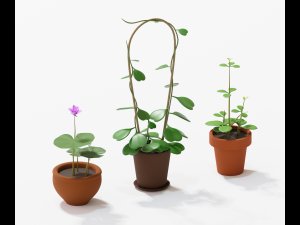 asset cartoon houseplant 3D Model