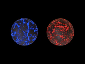 magic egg 3D Model