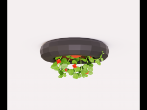 Plant on the wall 3D Model