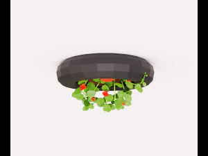 Plant on the wall 3D Model