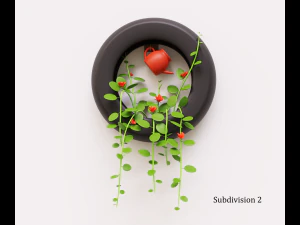 Plant on the wall 3D Model