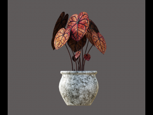 Demonic plant 3D Model