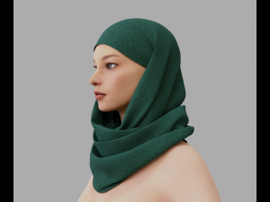 Shawl Model 3D