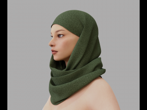 Shawl Model 3D
