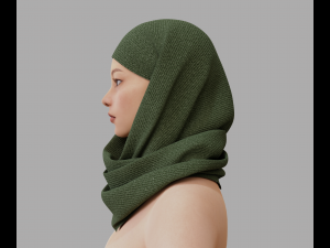 Shawl Model 3D