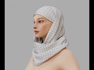 Shawl 3D Model