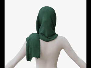 Medieval and winter shawl 3D Model