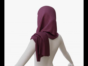 Medieval and winter shawl 3D Model