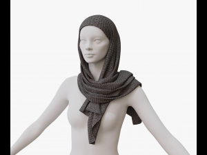 Medieval and winter shawl Modello 3D