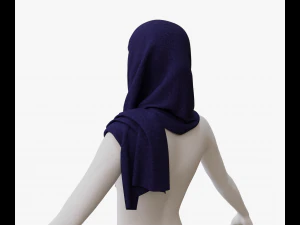 Medieval and winter shawl 3D Model