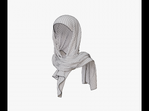 Medieval and winter shawl Modello 3D