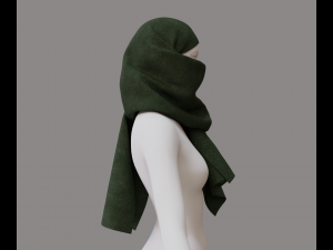 Face hiding scarf 3D 模型