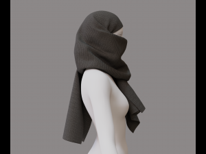 Face hiding scarf 3D 模型