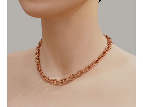 Chain set 3D Model