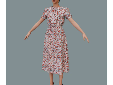Retro floral dress 3D Model