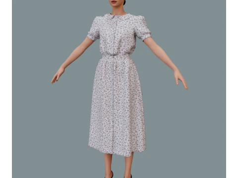 Retro floral dress 3D Model
