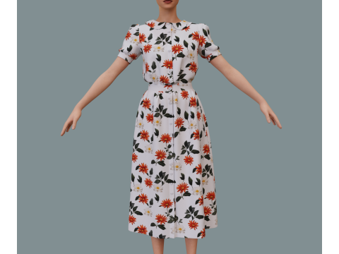 Retro floral dress Model 3D