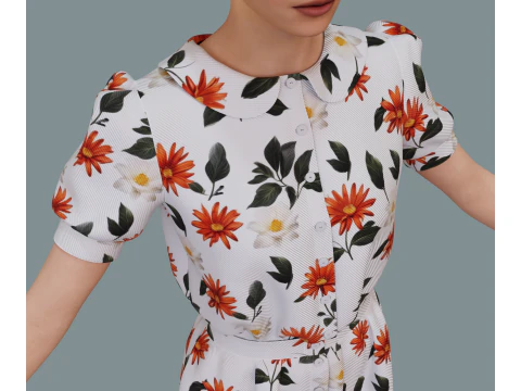 Retro floral dress 3D Model