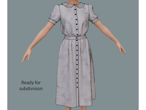 Retro floral dress Model 3D