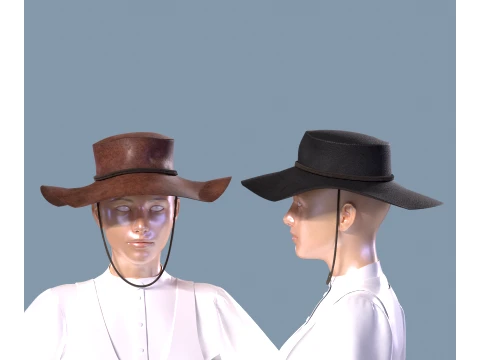 西部帽子斯泰森 3D 模型
