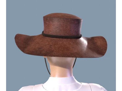 Western hat stetson 3D Model