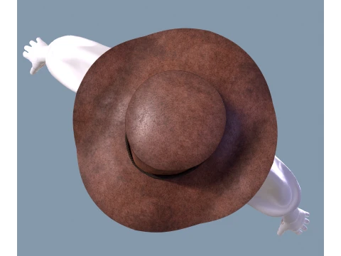 Western hat stetson 3D Model