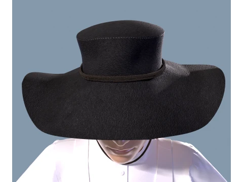 Western hat stetson 3D Model